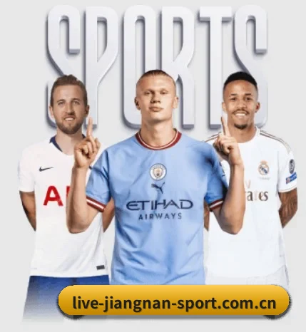 五个功能入口,赛程查询路径更短